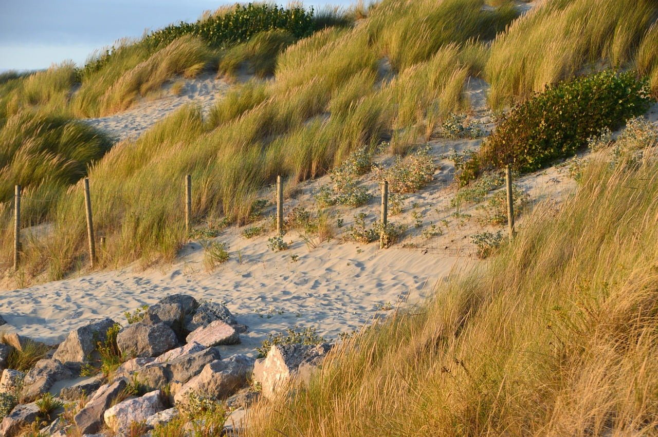 Le Touquet Paris Plage